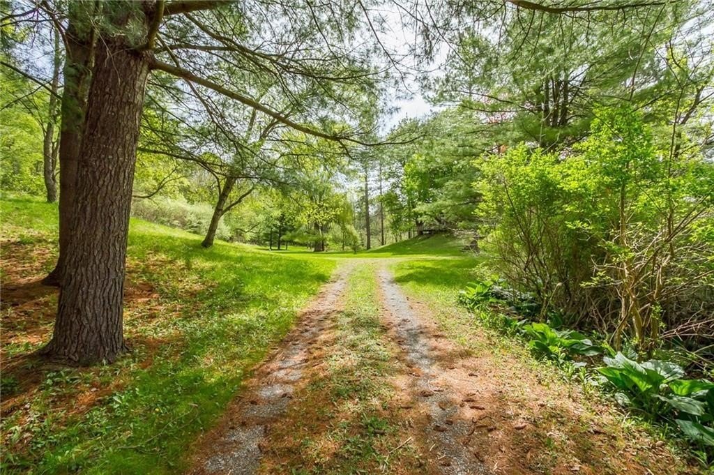 Wooded 11-Acre Ranch in Victor