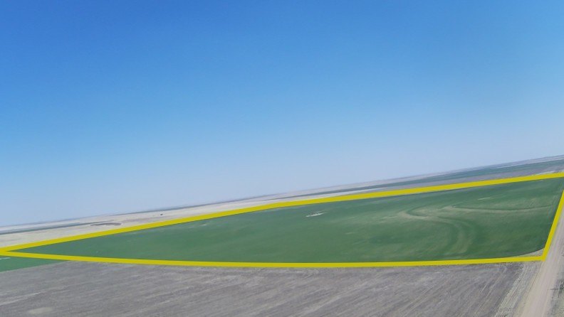Farmland Quarter Section in Lakin