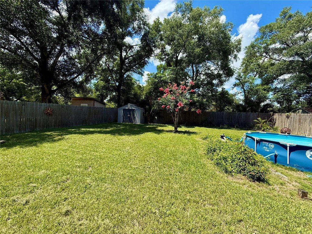 Picture 29