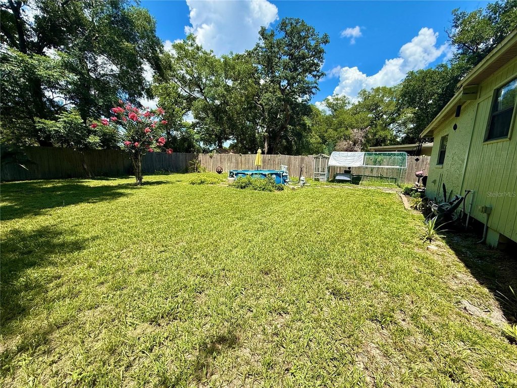 Picture 28
