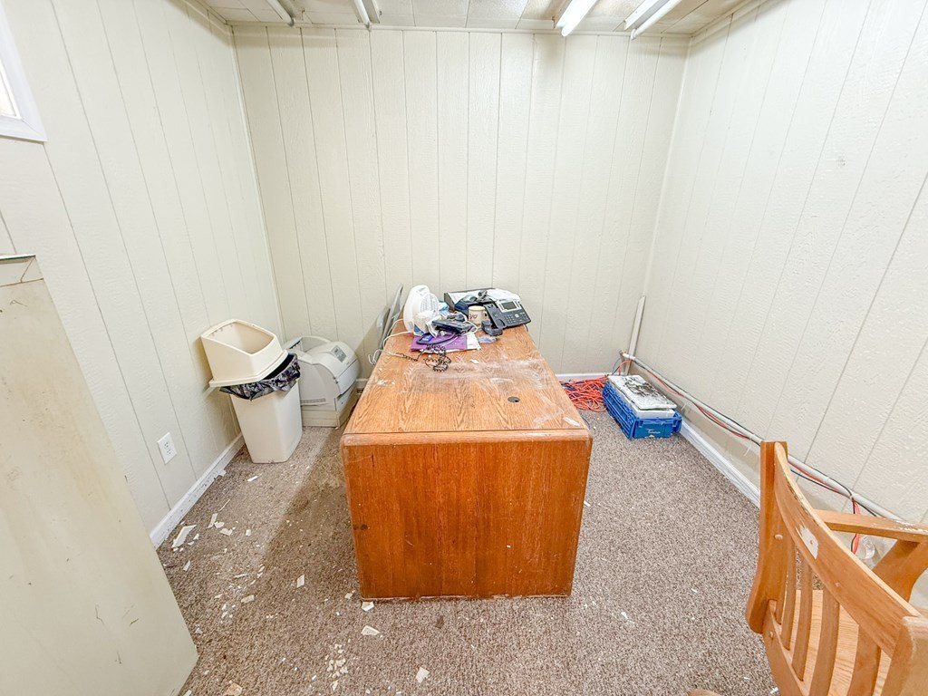 Picture 19