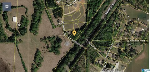 LAND - CROPWELL, AL
