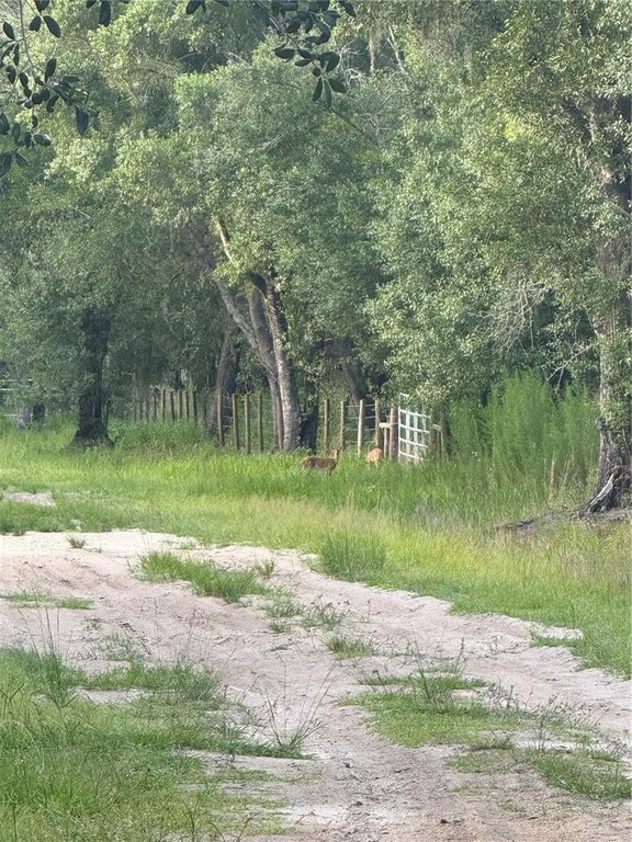 Picture 11
