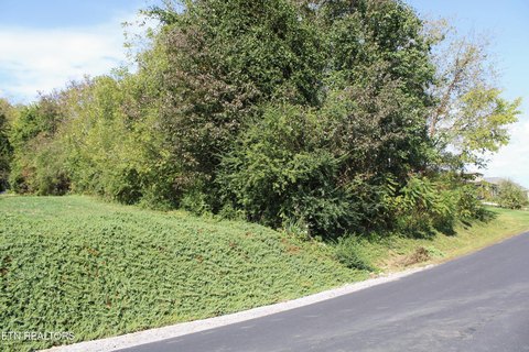 Lots & Acreage, Loudon, TN