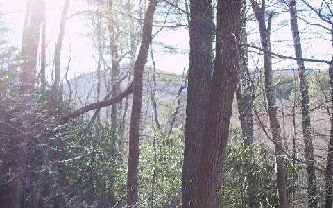 Hiawassee Wooded Lot For Sale