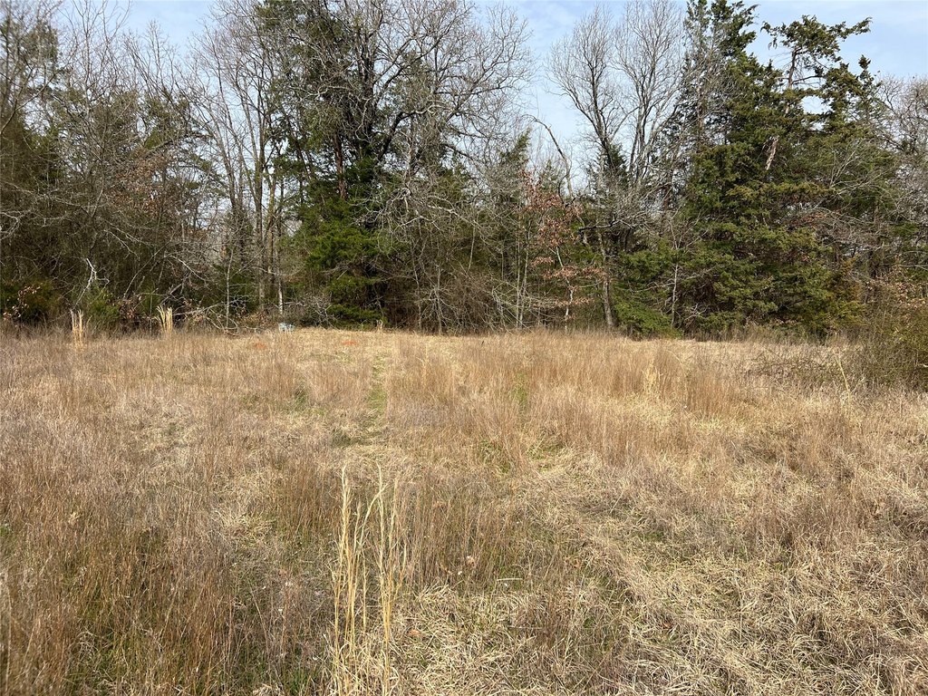 Picture 13
