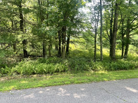 Land, Lords Valley, PA