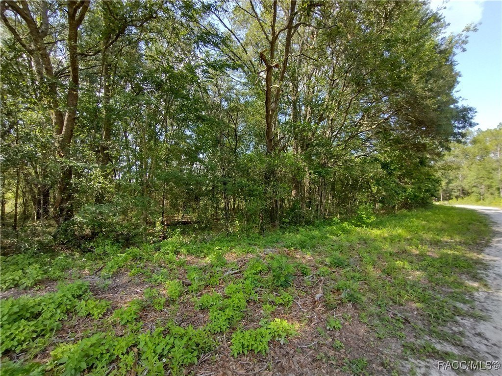 Picture 7