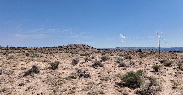 Picture 19
