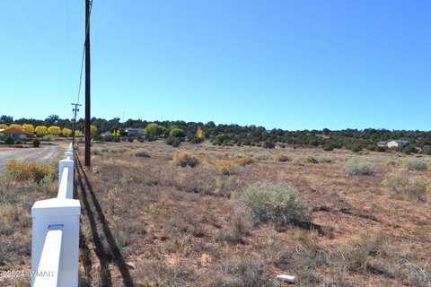 Taylor, AZ Land For Sale