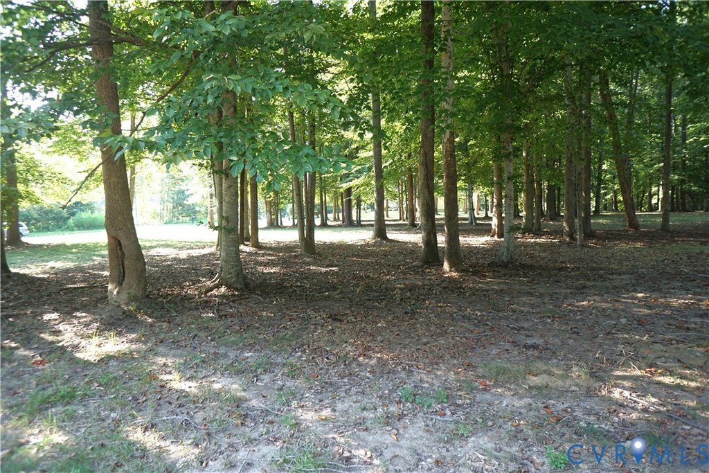 Picture 13