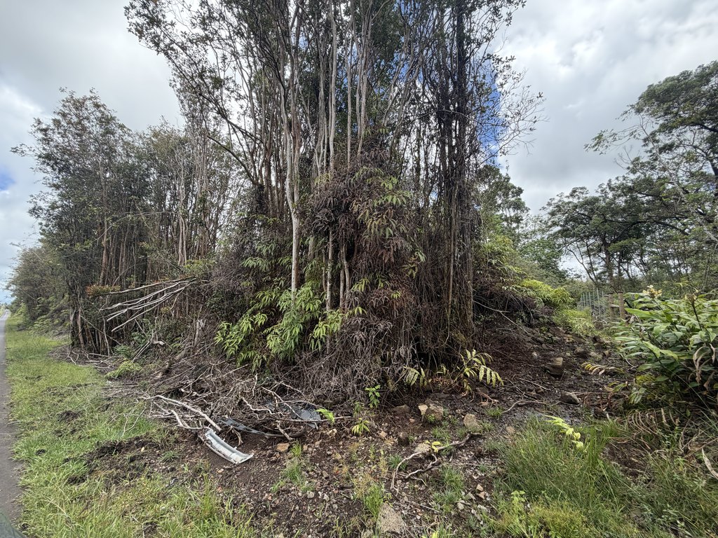 Picture 6