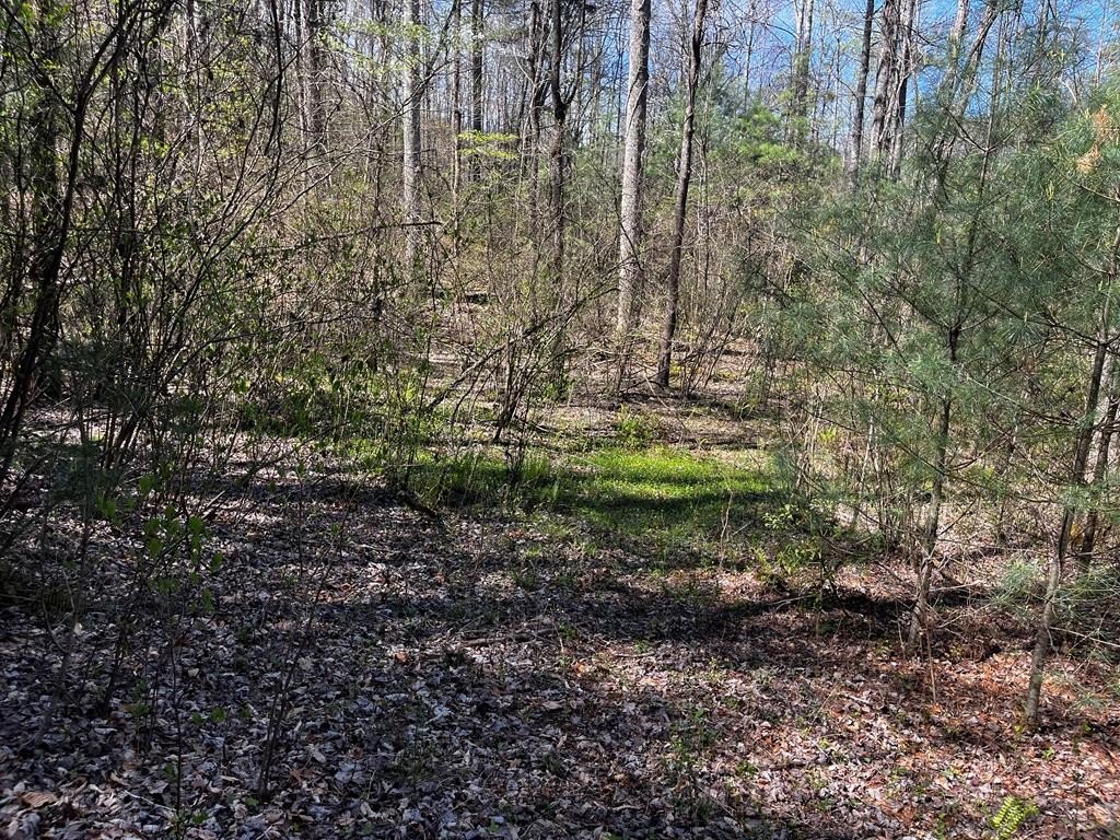 Picture 7