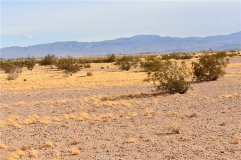 Newberry Springs Land For Sale