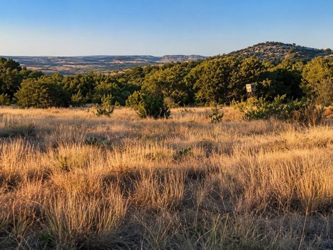 High-Fenced Hunting Ranch Land