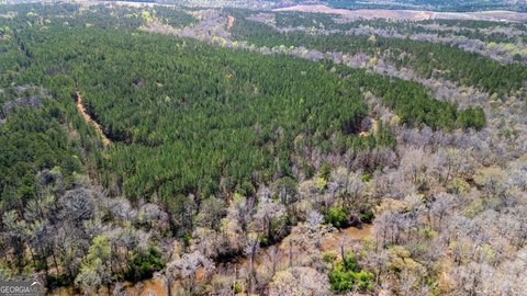 Pine Mountain Hunting and Timber Land