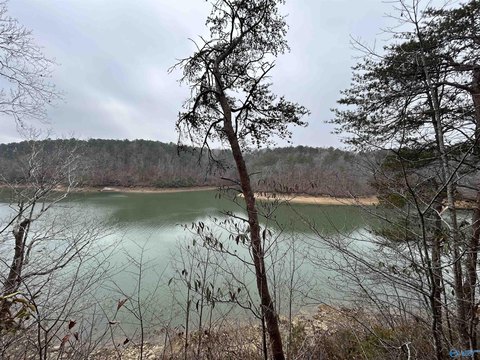 Smith Lake Land For Sale