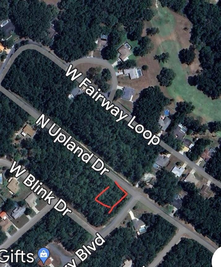 Citrus Springs Corner Lot