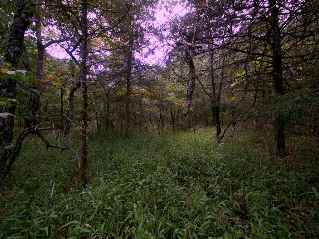 Picture 6