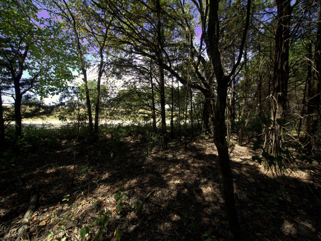 Picture 33