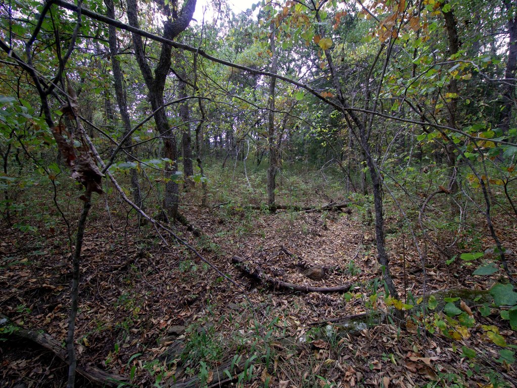 Picture 14