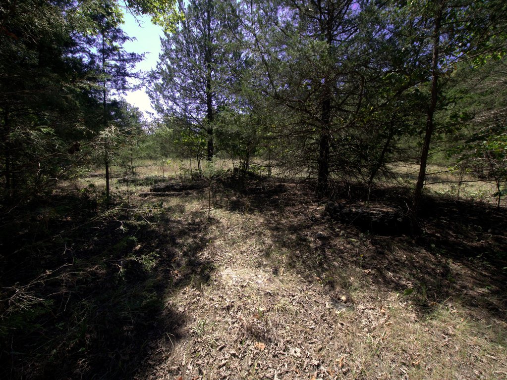 Picture 27