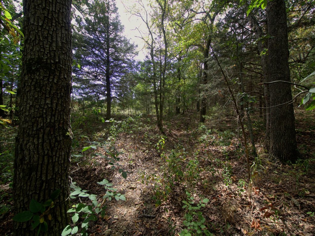 Picture 16