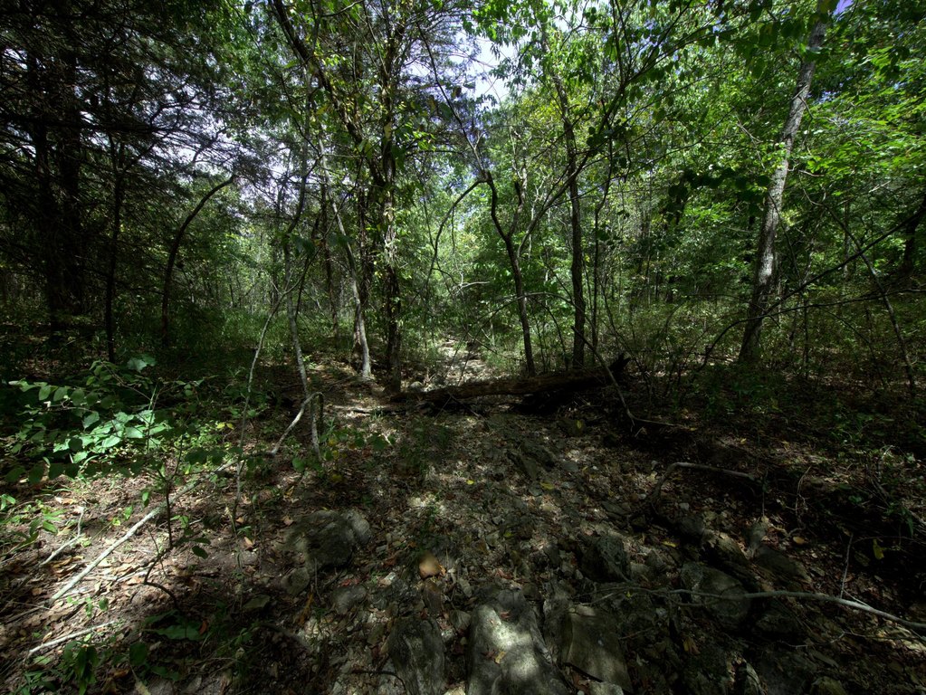 Picture 10