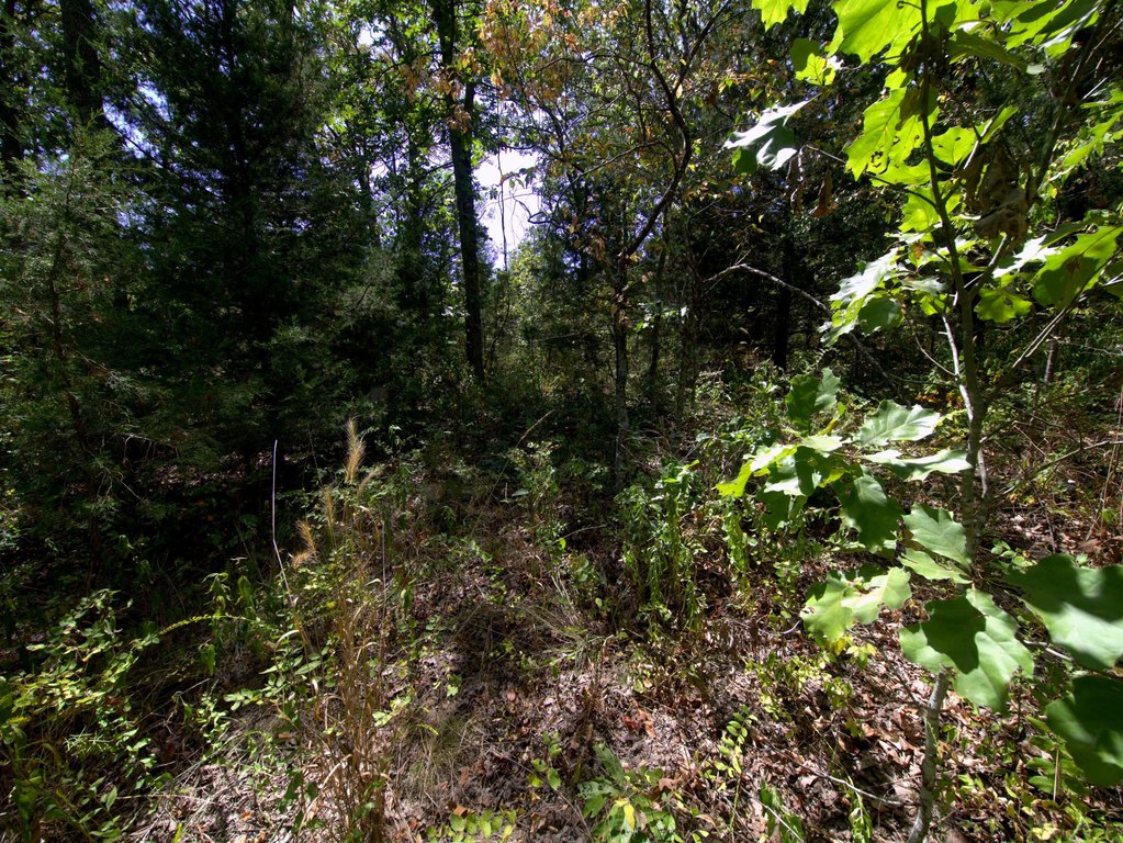 Picture 8