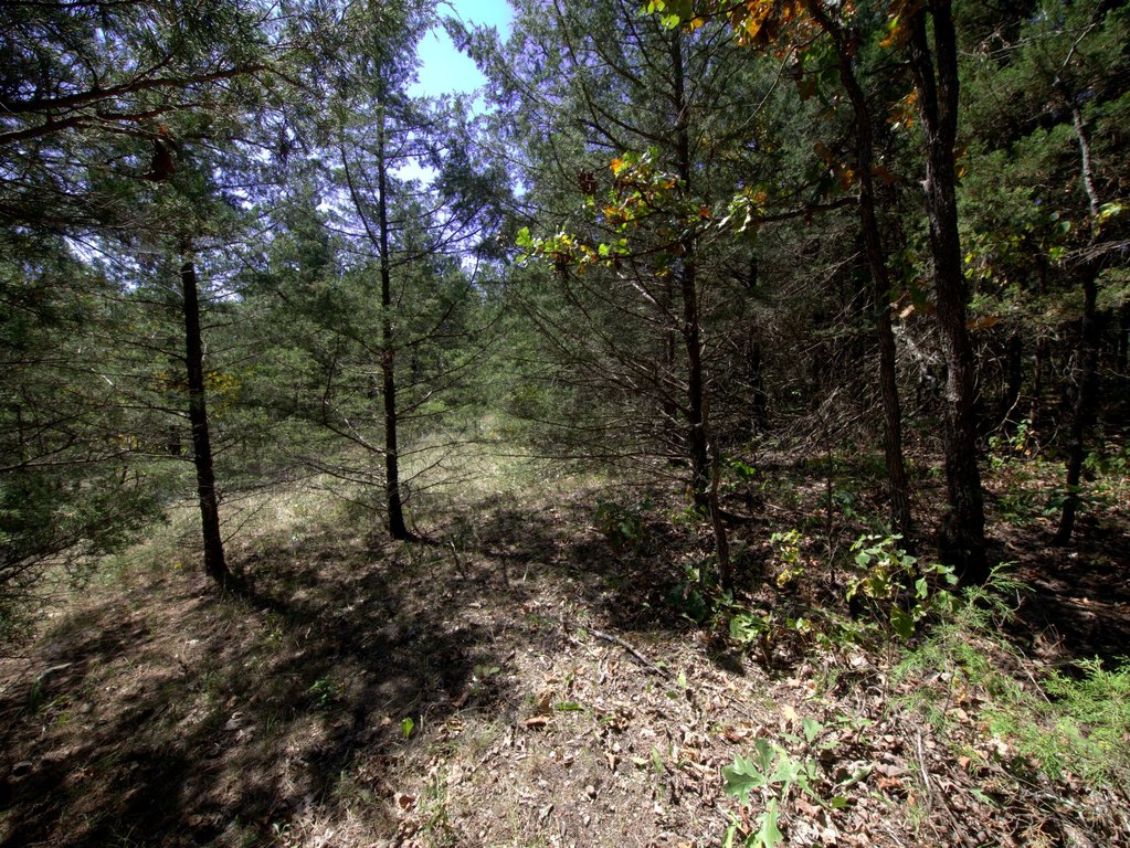 Picture 38