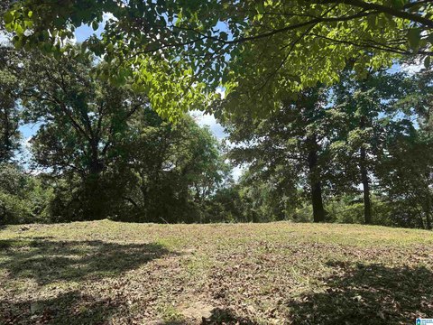 Residential Lot in Established Neighborhood
