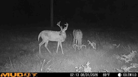Hunting Land with Steel Barn