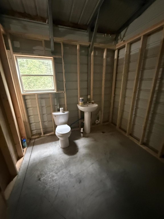 Picture 14