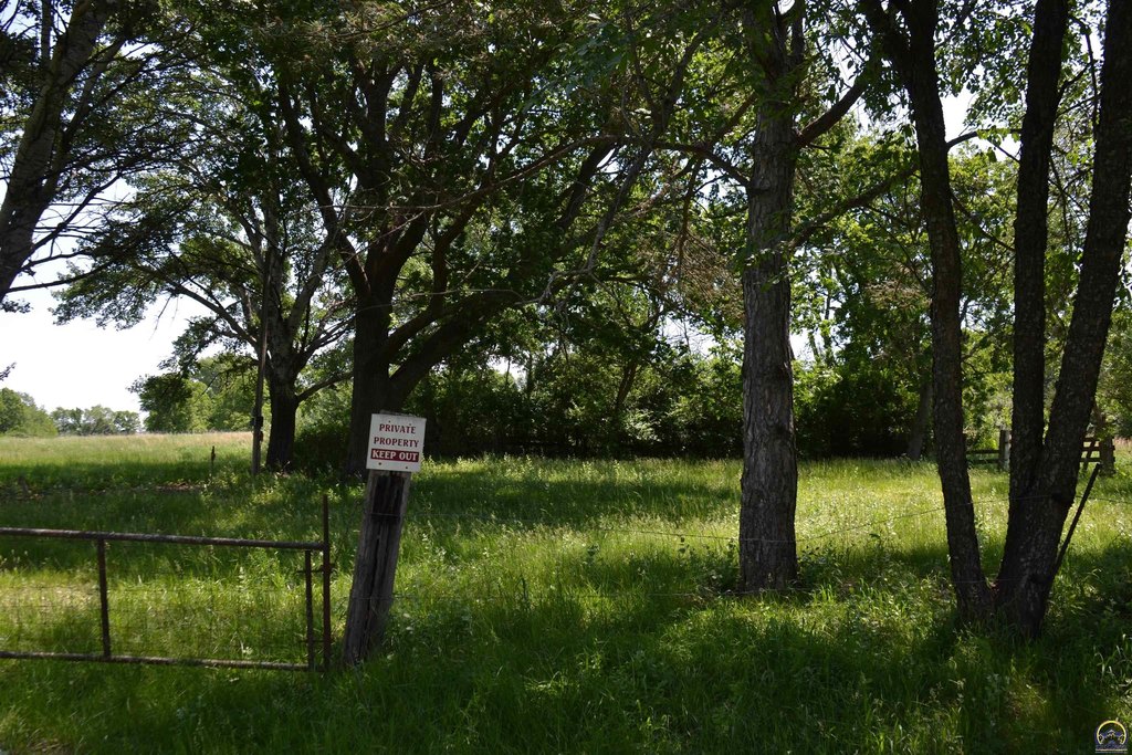 Picture 21