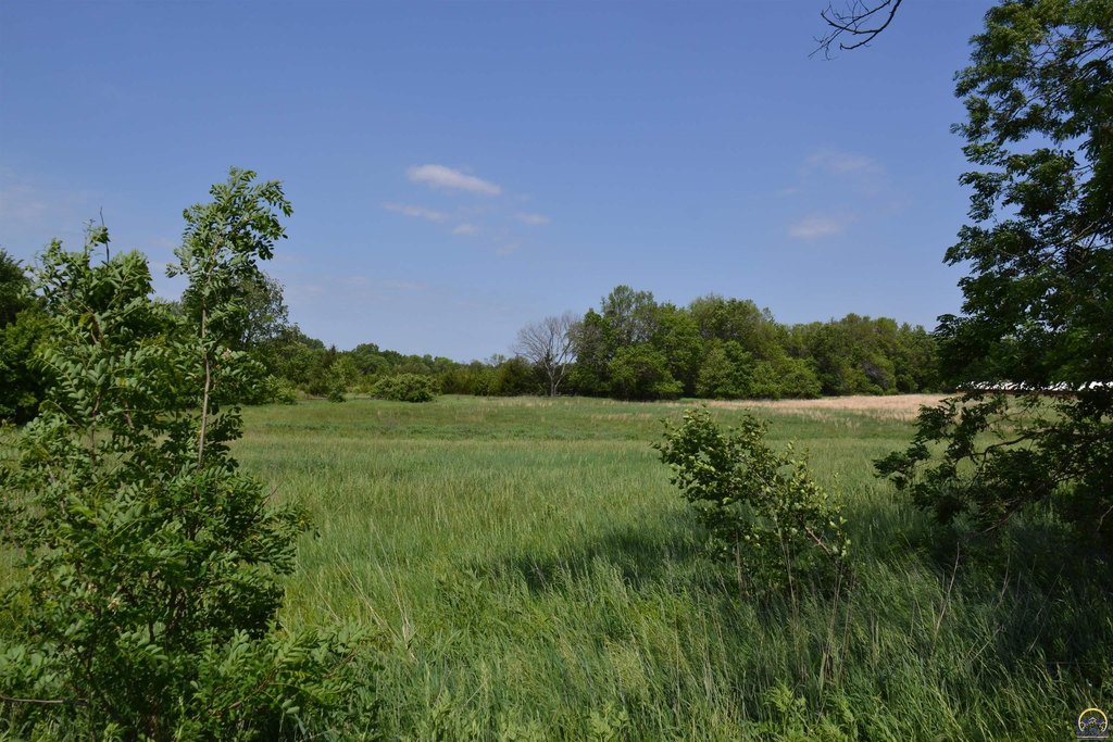 Picture 23
