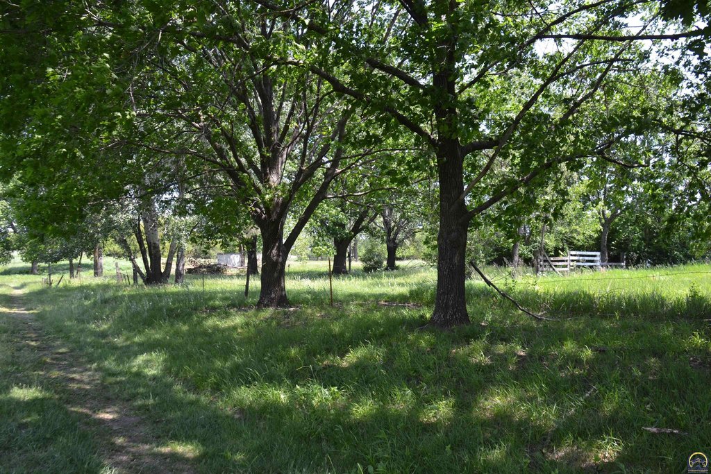Picture 15