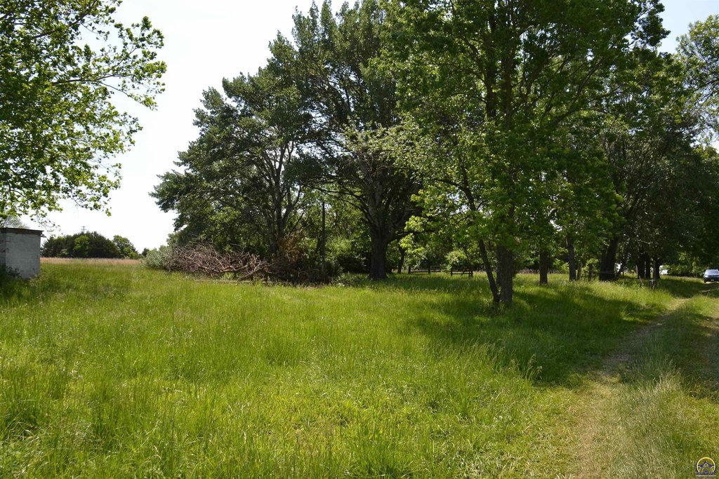 Picture 18