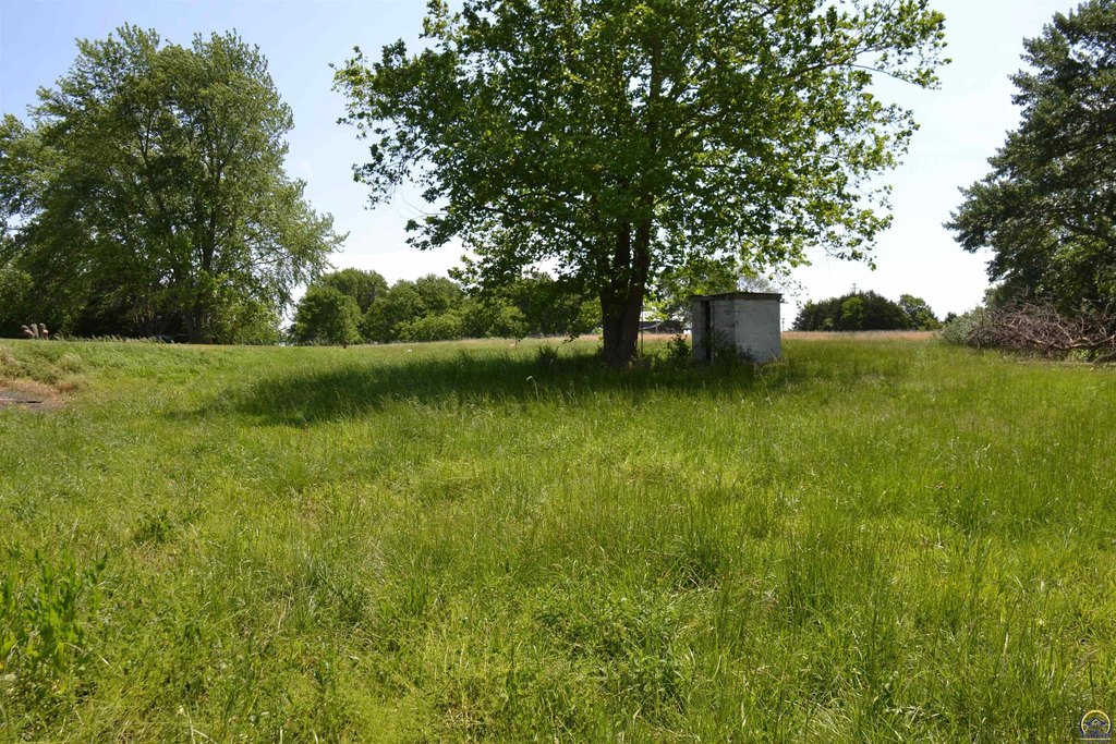 Picture 19