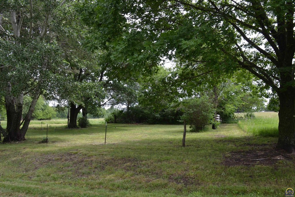 Picture 11