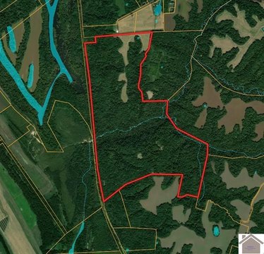 Hunting and Timber Land Tract