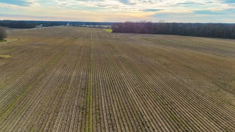 Irrigated Farmland with Road Frontage
