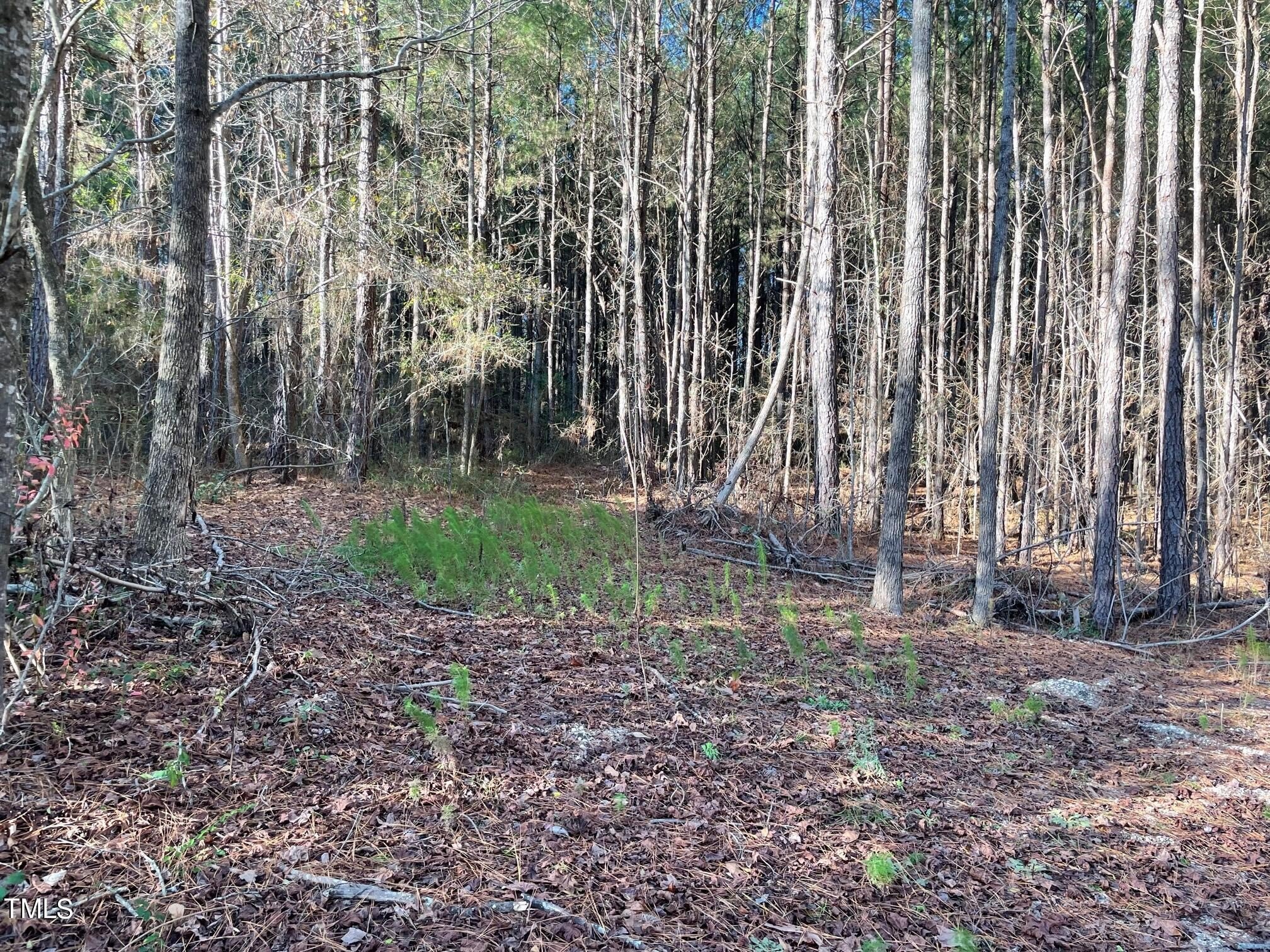 Wooded Land Tract in Dunn
