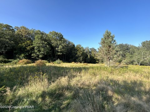 Residential Lot in Albrightsville