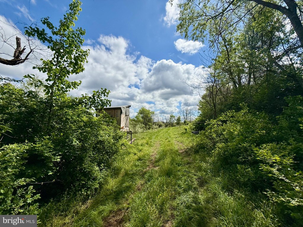 Picture 4