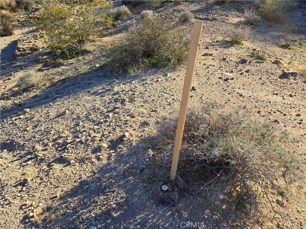 Picture 10