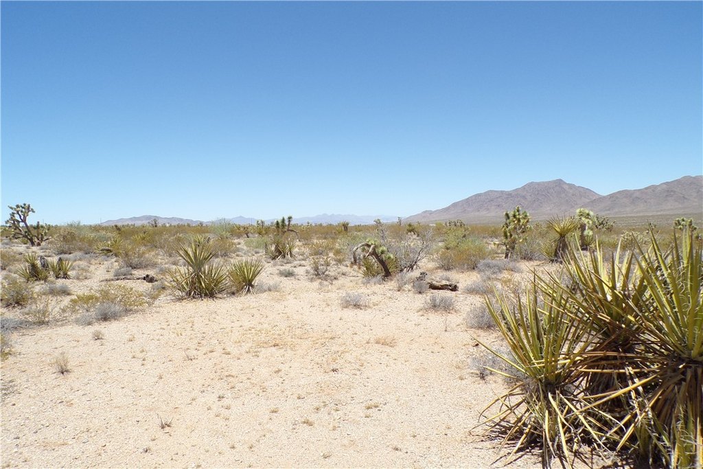 Picture 8