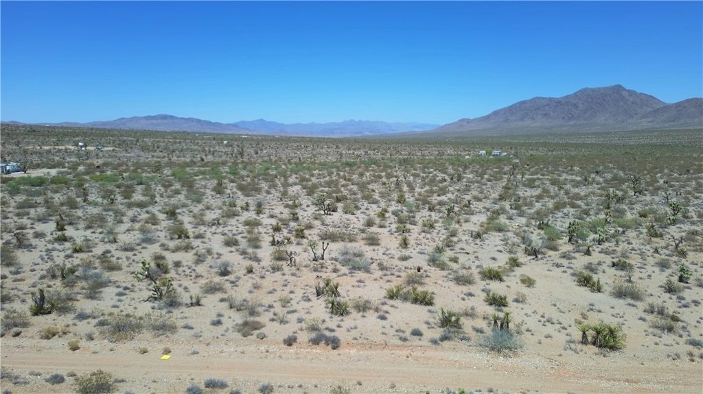 Picture 30