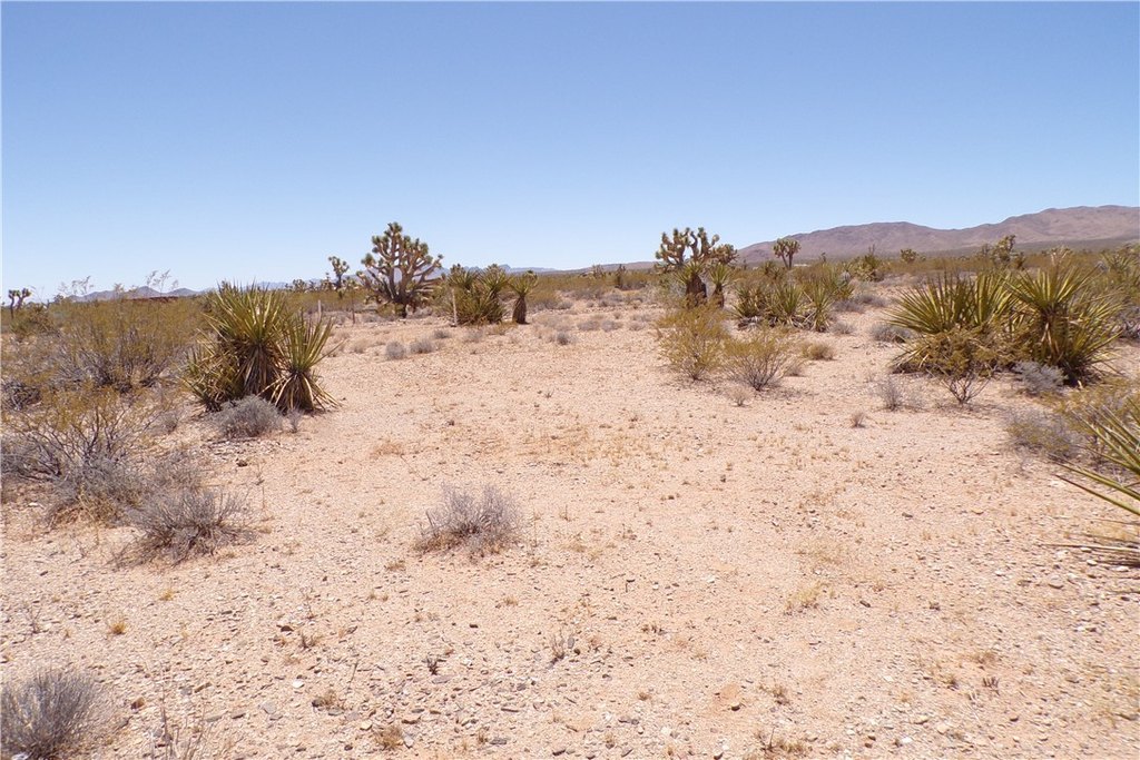 Picture 16