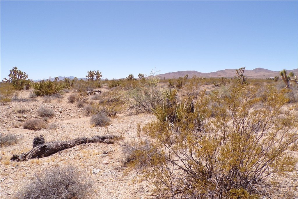 Picture 19