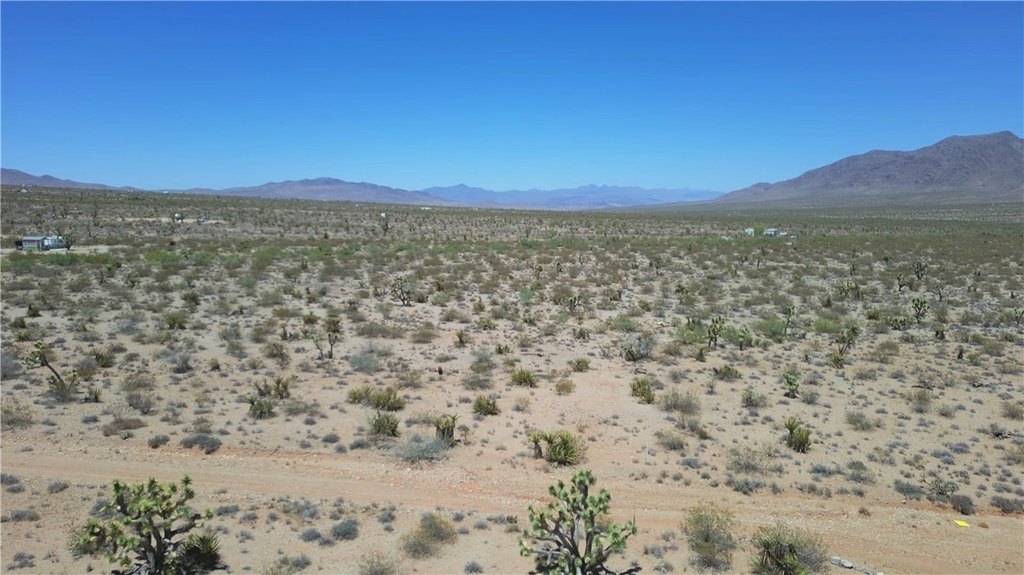 Picture 29